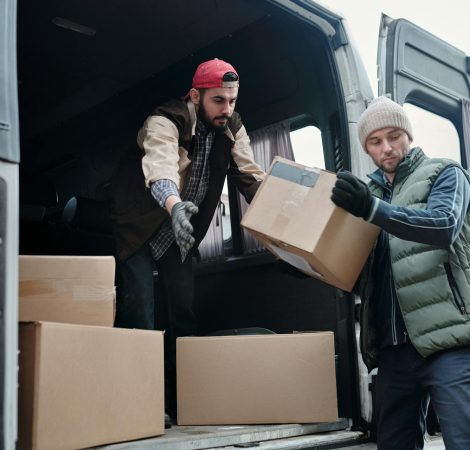 pexels-tiger-lily-4487512